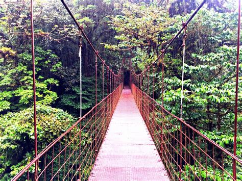 Exploring the Cloud Forest in Monteverde, Costa Rica - hungryfortravels