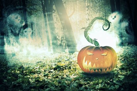 Pumpkin in the Foggy Forest Stock Illustration - Illustration of fantasy, fall: 65288496