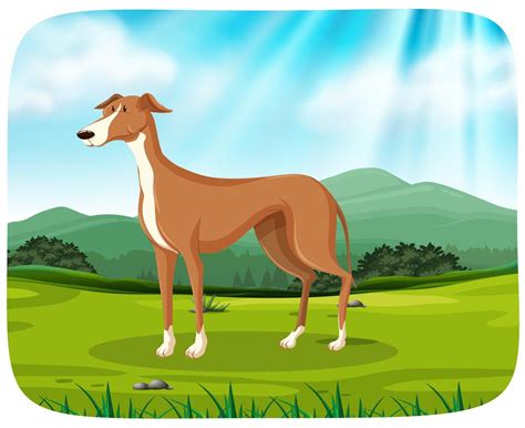 A dog in the park 588797 Vector Art at Vecteezy