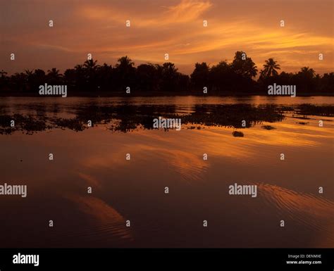 Sunset in the backwaters, Kerala Stock Photo - Alamy