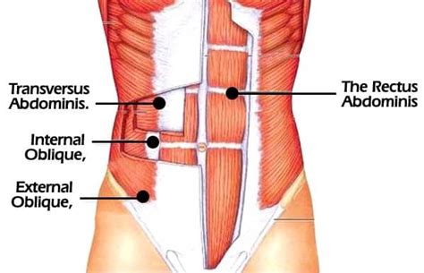 Core Stabilization Exercises: 3 Unique Ways to Train the Core