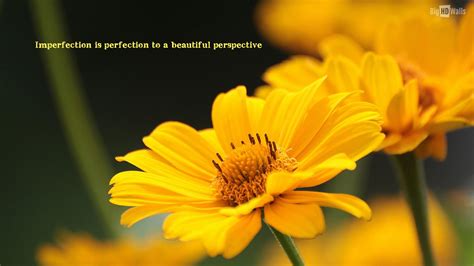 Quotes Flower Wallpapers - Wallpaper Cave