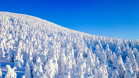 Winter Blessings in Eastern Japan: Onsens, Snow Monsters, Speciality Hotpots & More!