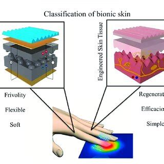 Classification of bionic skin: electronic skins and skin tissue ...