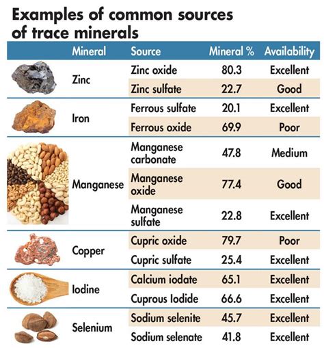 How to make homemade poultry, pig trace mineral premixes | WATTAgNet ...