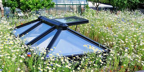 Green Roof Plant Development - Organic Roofs