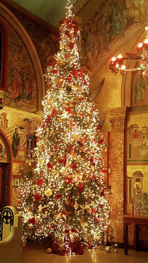 St. Paul Cathedral Christmas Tree Photograph by Neal Alicakos - Pixels