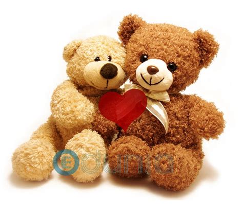 Teddy Day - Edunia