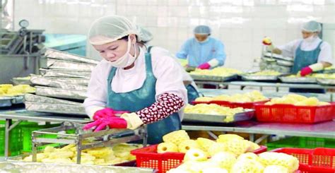 Free Trade Deal Boosts Vietnam Exports To Russia | ppi.com