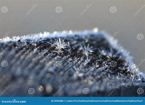 Ice Accretion Royalty Free Stock Image - Image: 4994486