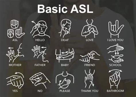 Basic ASL | Sign language words, Sign language, Sign language alphabet