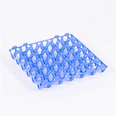 Egg Crate (30 Eggs) - Guangzhou Rodman Plastics Limited