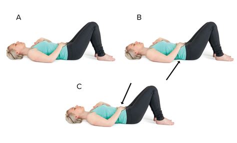 Exercise Routine To Strengthen Lower Back – Online degrees