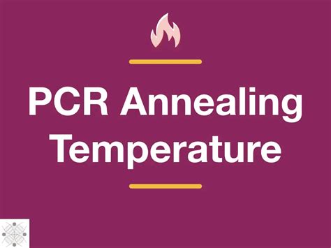 What is Annealing Temperature in PCR? How to Calculate and Set It? – Genetic Education