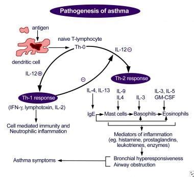 Test For Asthma In Adults