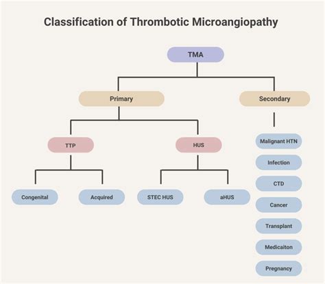 What are thrombotic microangiopathies? • The Blood Project