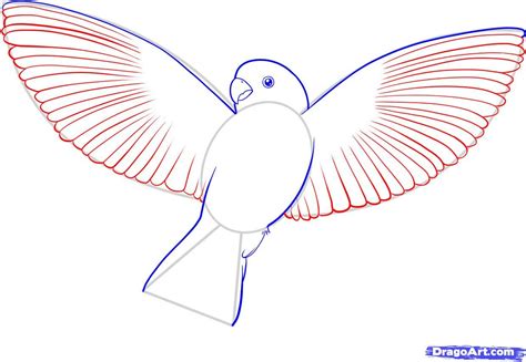 small bird drawing - Google zoeken | Bird drawings, Easy drawings, Birds flying