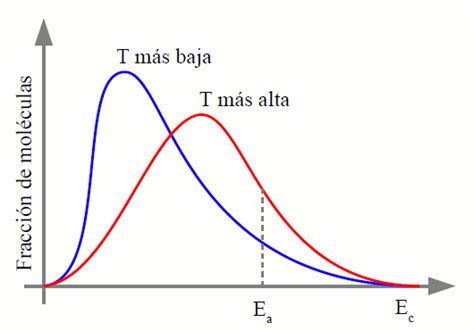 Cinetica Quimica Velocidad De Reaccion Ejemplos – Nuevo Ejemplo