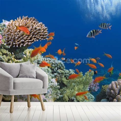 Tropical Fish on Coral Reef Wallpaper Mural | Wallsauce FI