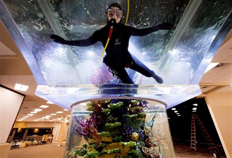 Scheels shows off progress — and fills fish tank — at new Lincoln store | Local Business News ...