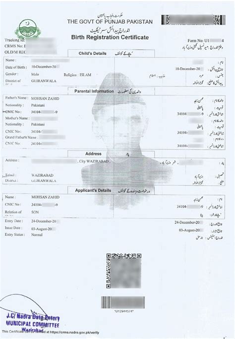 Nadra Birth Certificate Pakistan Online Sample