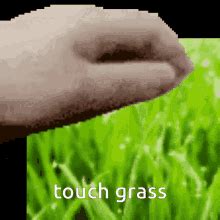 Grass GIFs | Tenor