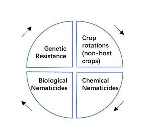 Analysis for Integrated Control of Plant Nematodes - Lifeasible