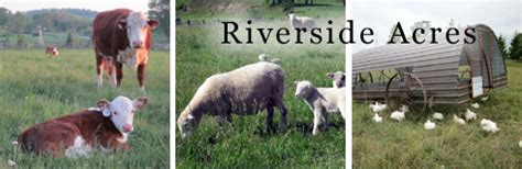 Riverside Acres Farm - Grass Fed Beef and Lamb, Organic Fed Chicken