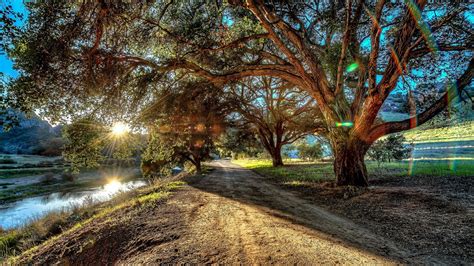 malibu creek state park, plant, california, grass, creek, pathway ...