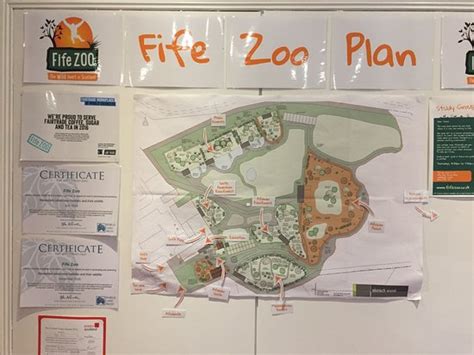 Fife Zoo (Cupar) - All You Need to Know Before You Go (with Photos) - TripAdvisor