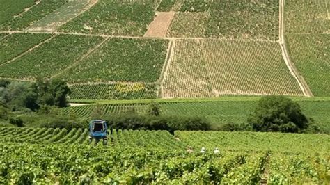 Chablis France • Private Wine Tasting and Tour of Chablis – The Weekend Post