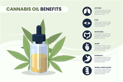 Free Vector | Cannabis oil benefits - infographic