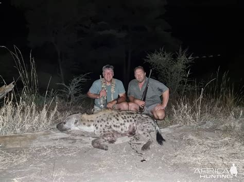 Spotted Hyena Hunting Namibia | AfricaHunting.com