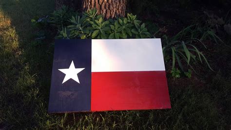 Texas flag concealment wall art