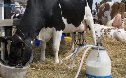 Michigan warns against raw milk; two children sick from E. coli | Food ...