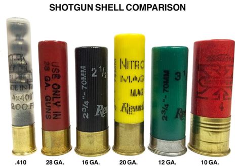 Best Shotgun Ammo 2024: Home Defense & Range - Pew Pew Tactical