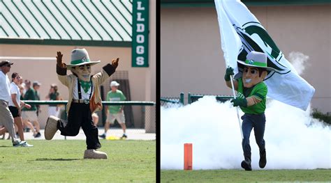 Redesigned John B mascot ups his game for the Hatters - Stetson Today