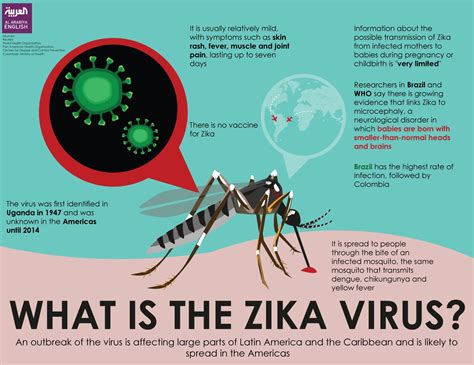 What is the Zika virus? - Al Arabiya English