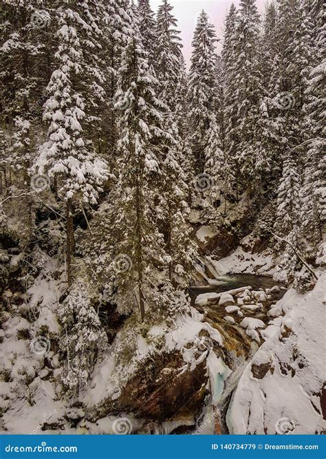 Beautiful Winter Waterfall in the Tatry Mountains in Poland Stock Image - Image of asheville ...