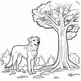 Merle Dog In A Forest Clearing – coloring Page Coloring Jungle sketch template