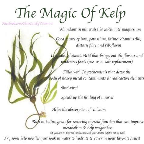 I eat at least 1 tsp Kelp powder everyday and I'm working up to 1TBS ...