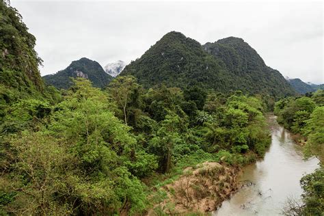 Vietnam jungle Photograph by Lukasz Szczepanski - Pixels