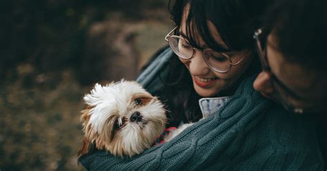 Research Confirms It: Adopting More Pets Improves Happiness! - Dogs Experts