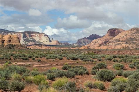 Guided Navajo Mountain archaeology Hiking and History