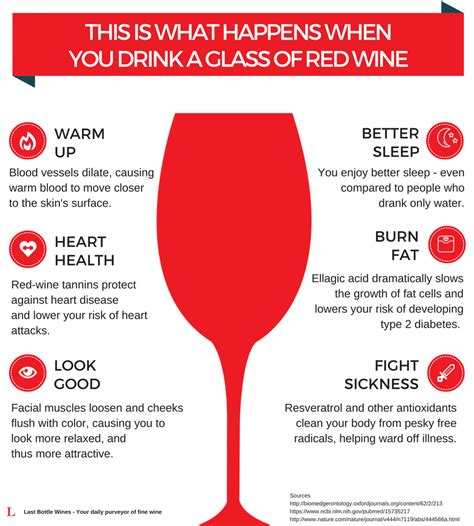 The Top 10 Healthy Reasons Why You Should Drink Red Wine