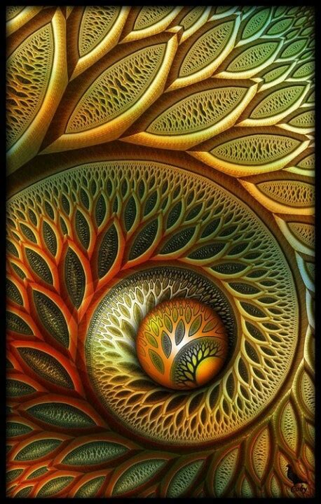 326 best Fractal Art & Fibonacci Spirals images on Pinterest