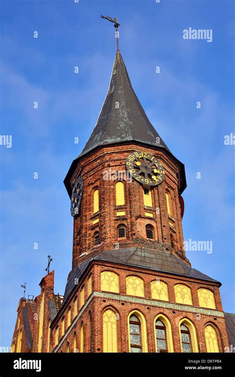 Tower of the Cathedral of Koenigsberg. Gothic 14th century. Symbol of the city of Kaliningrad ...