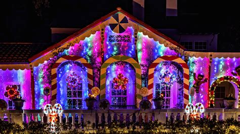 Selby Gardens in Sarasota has one of the most beautiful holiday light ...