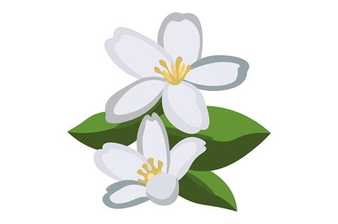 Idaho State Flower - Philadelphus Lewisii SVG Cut file by Creative ...