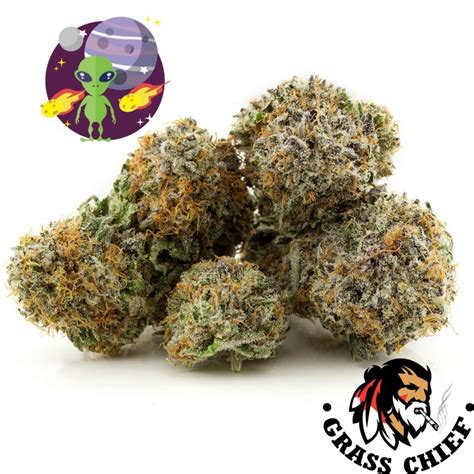 Alien OG - AAA Buy Weed Online in Canada at Grass Chief